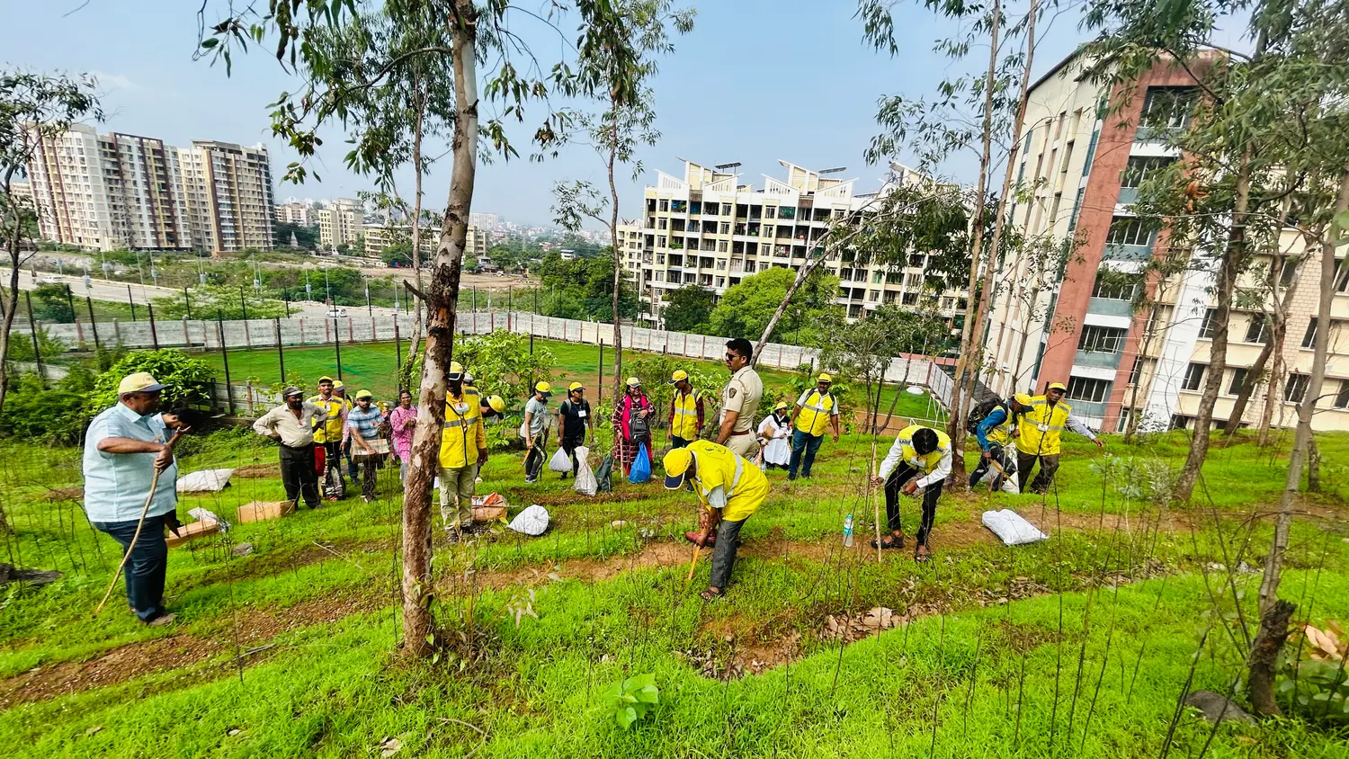 Seedball Plantation Activity
