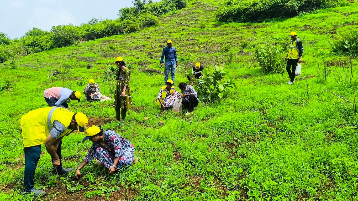 Seedball Plantation Activity